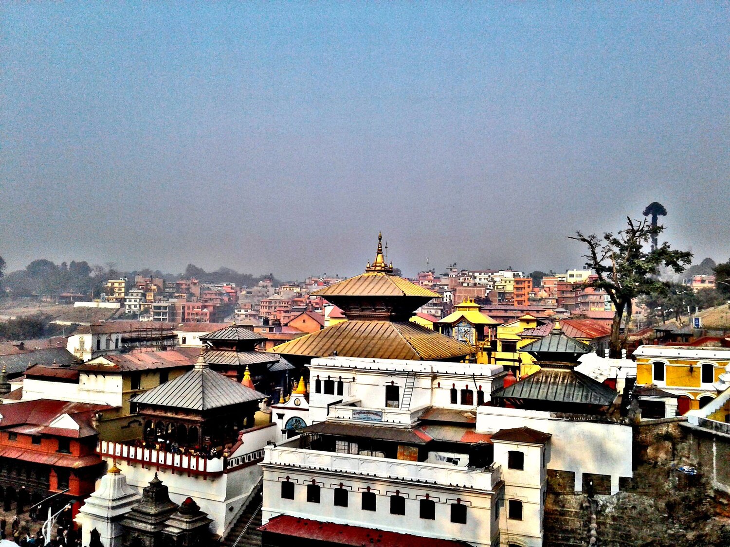 Temple