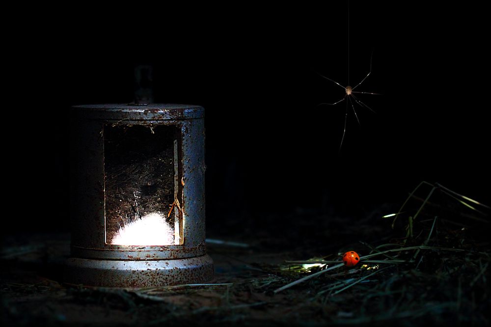 Заблудшая душа...