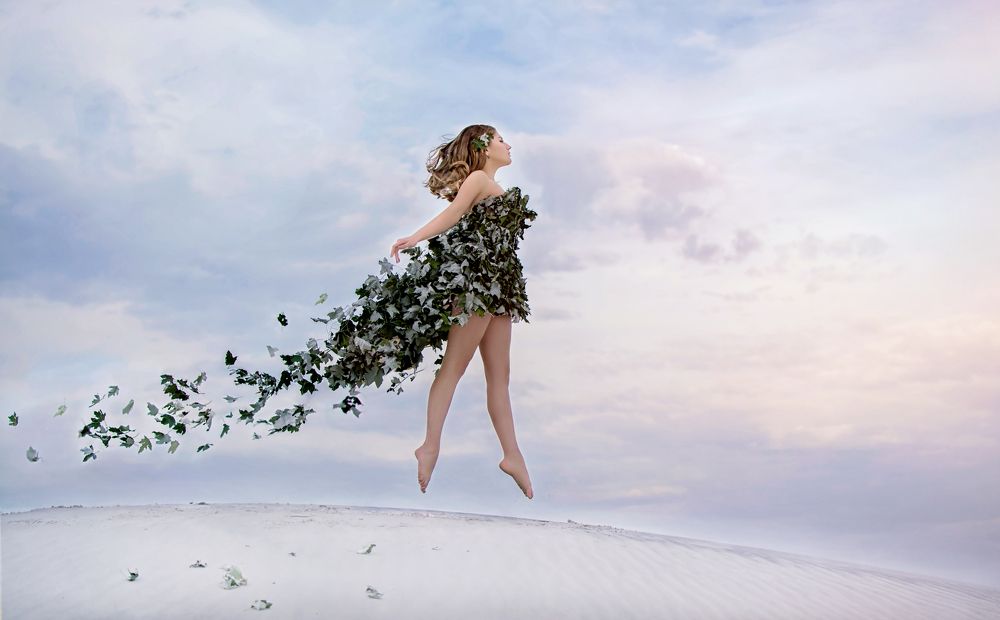 Летящая к мечте