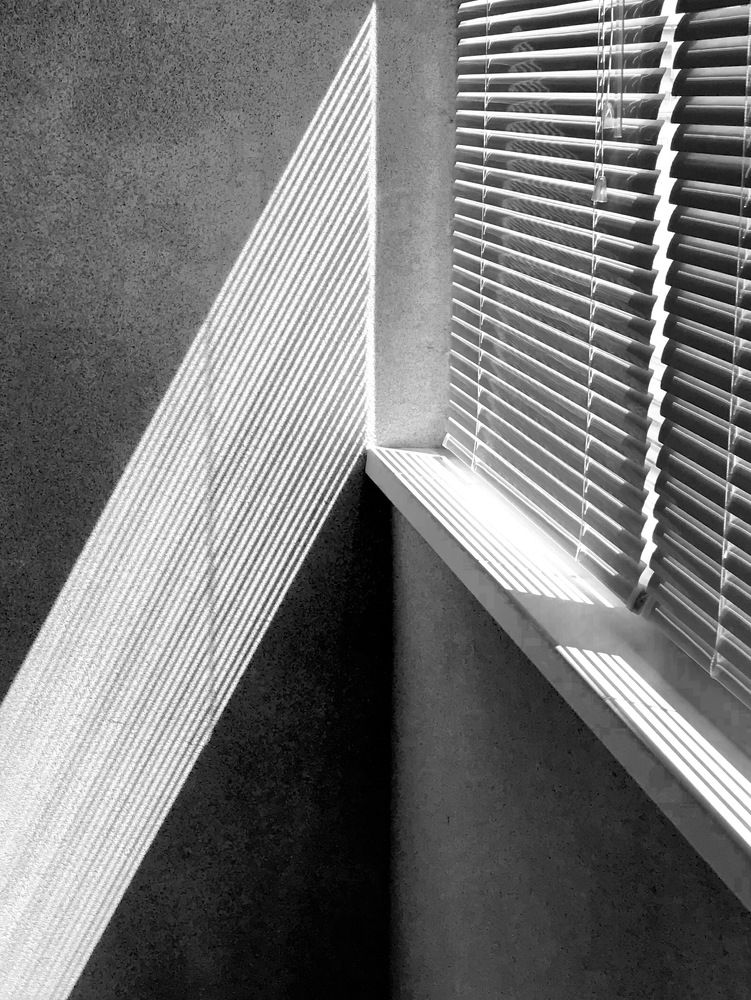 График жизни