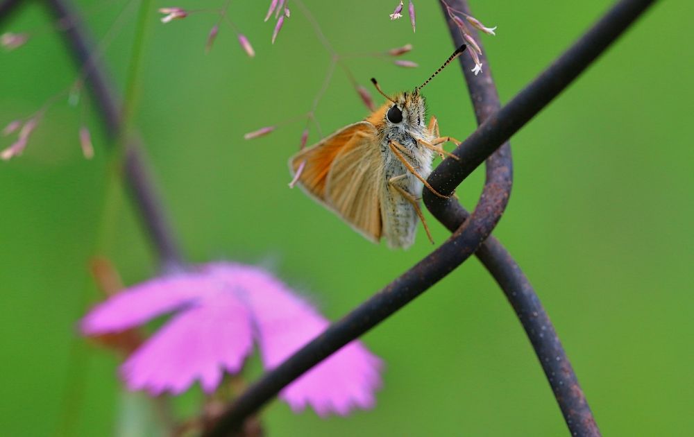 Photograph by Алексей Федулов