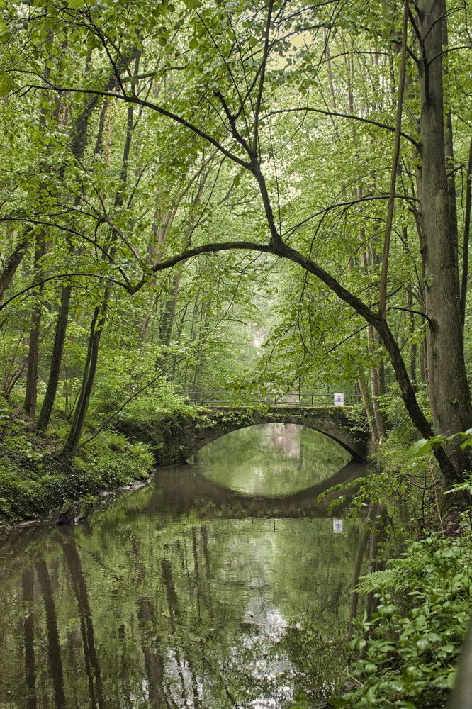 Пасмурная дорога художников