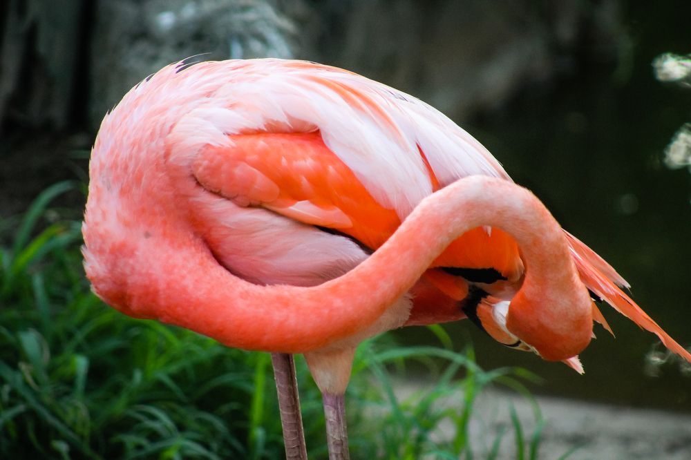 Just A Few More Adjustments