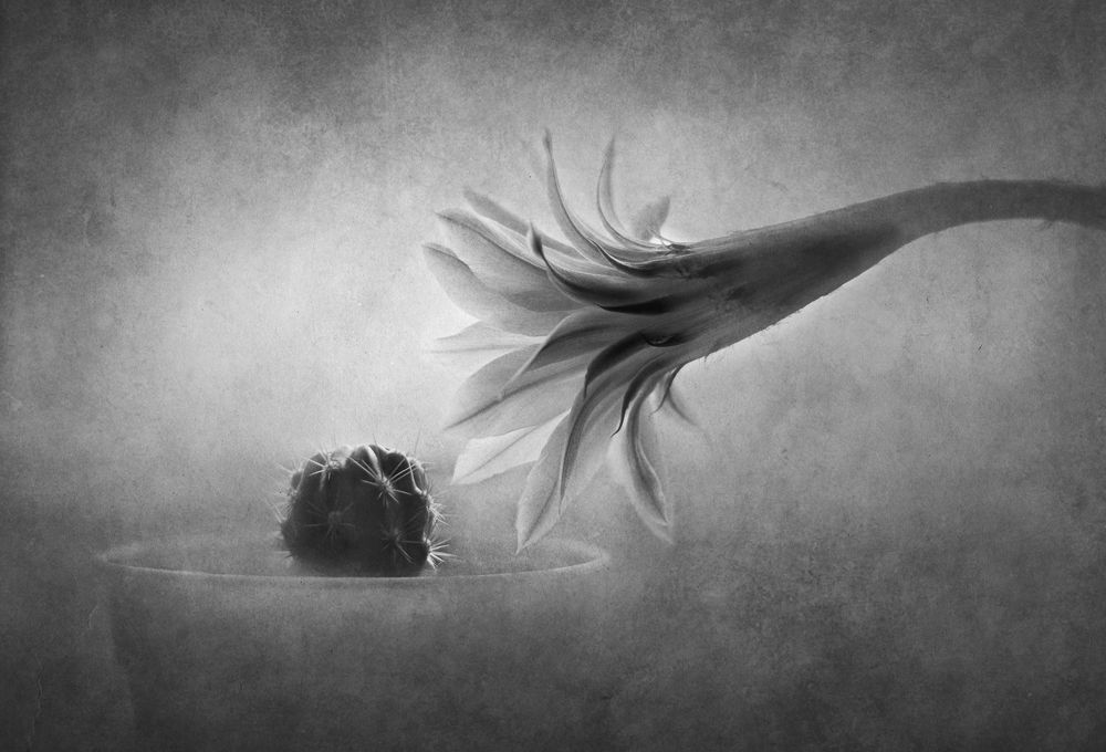 Photograph by Инна Буглак