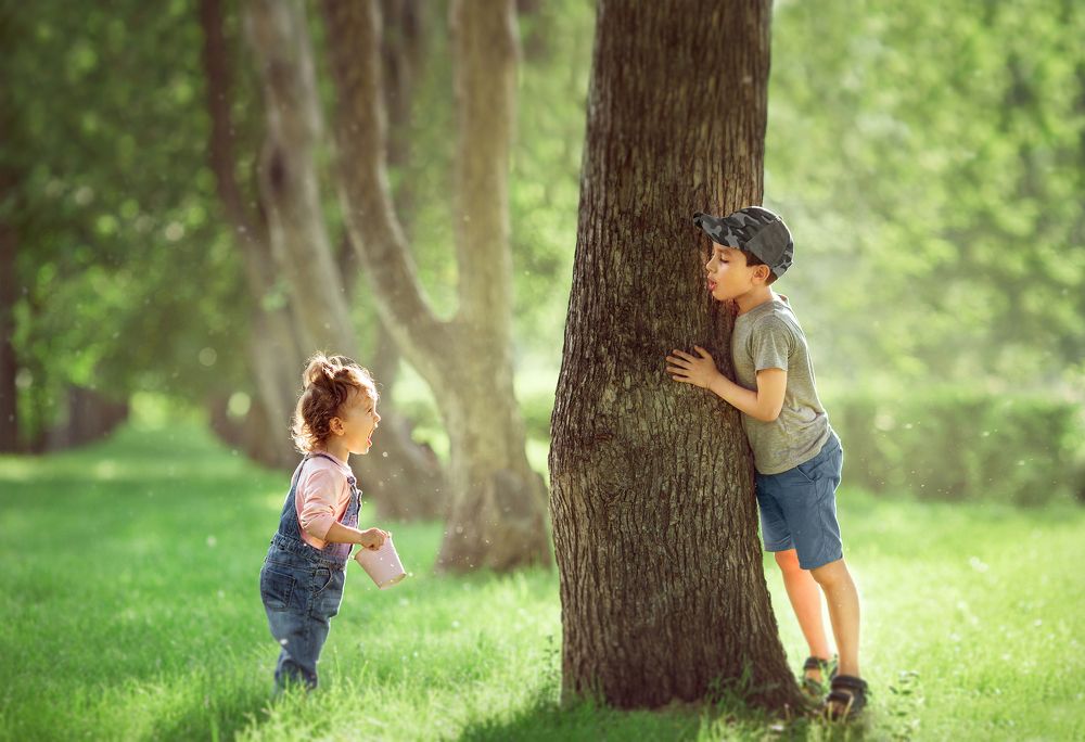 прятки за деревом