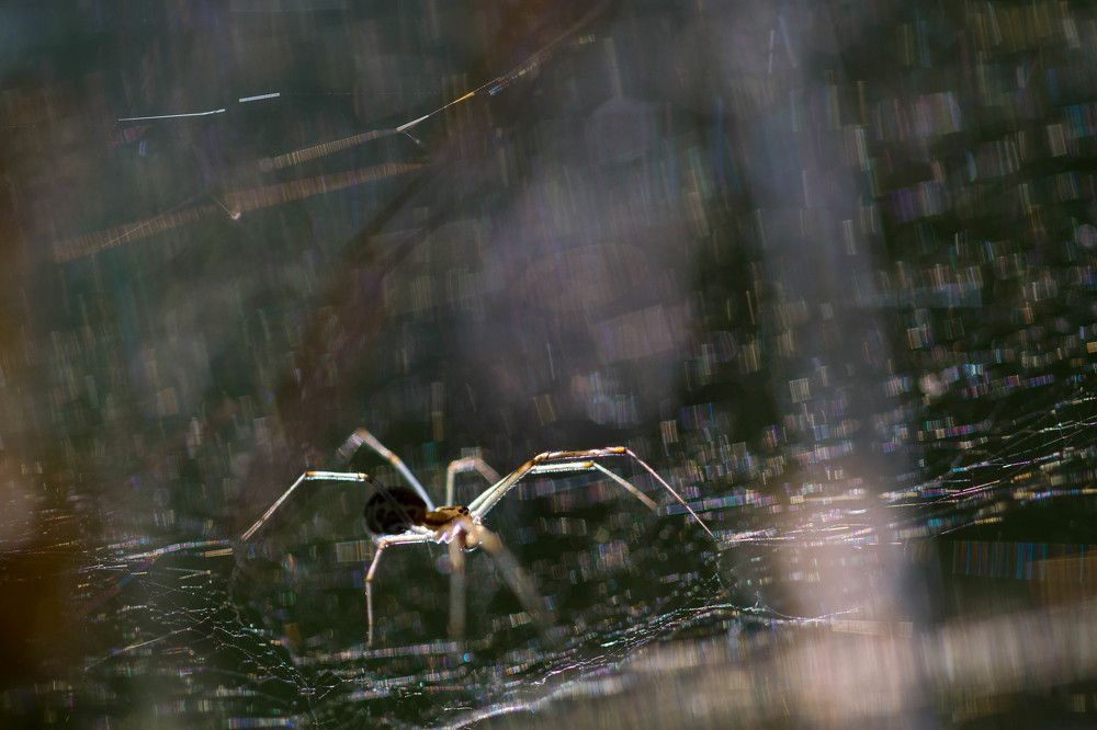 Photograph by Викулов Николай