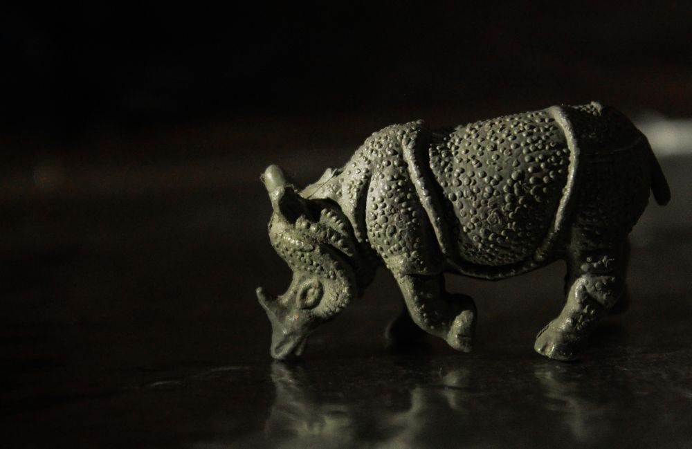 Extinction is Forever