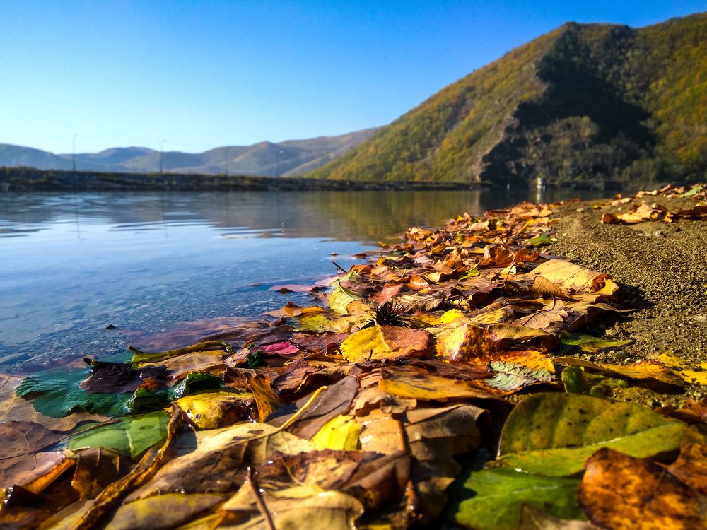 Дальнегорская дамба