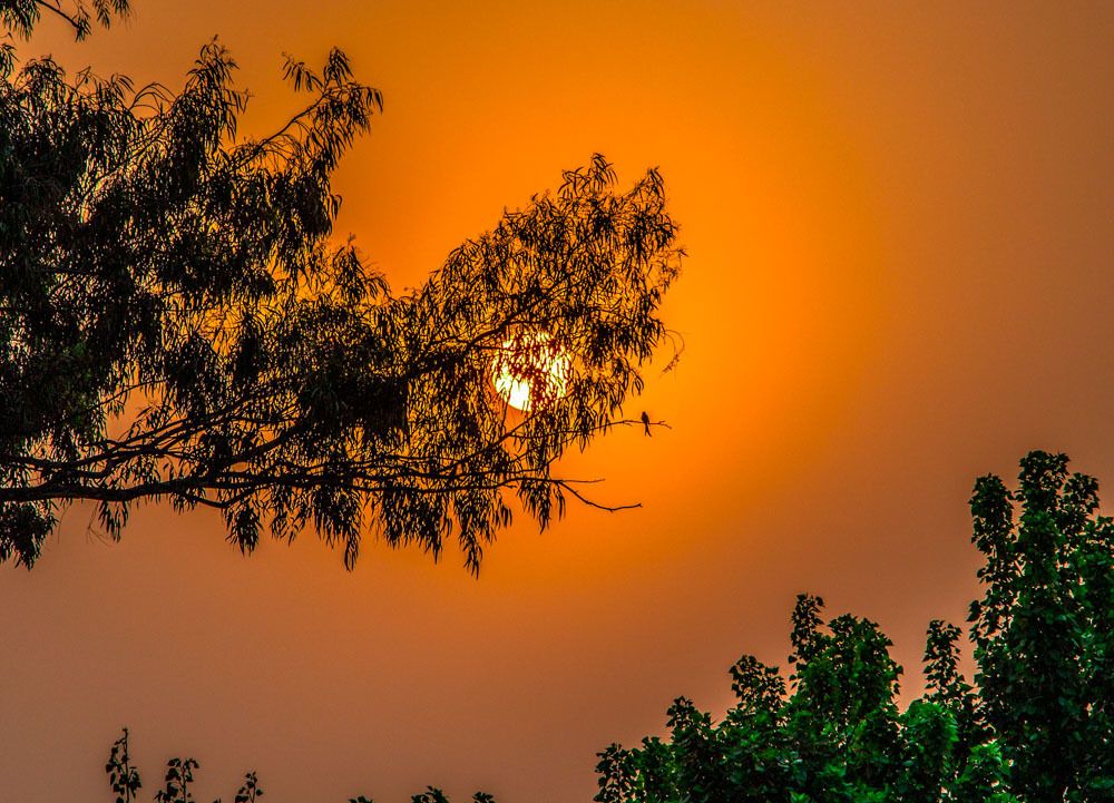 Waiting for no reason