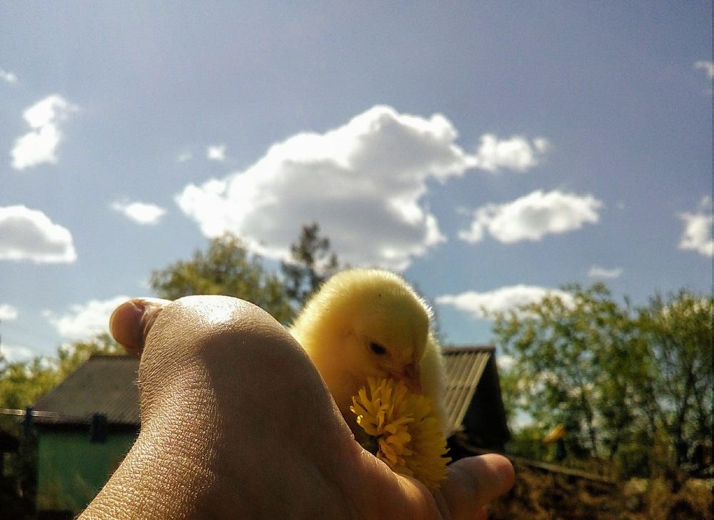 новый день, новая жизнь...