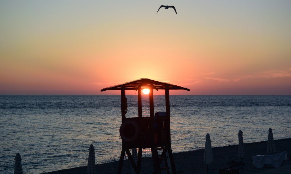 У Черного моря