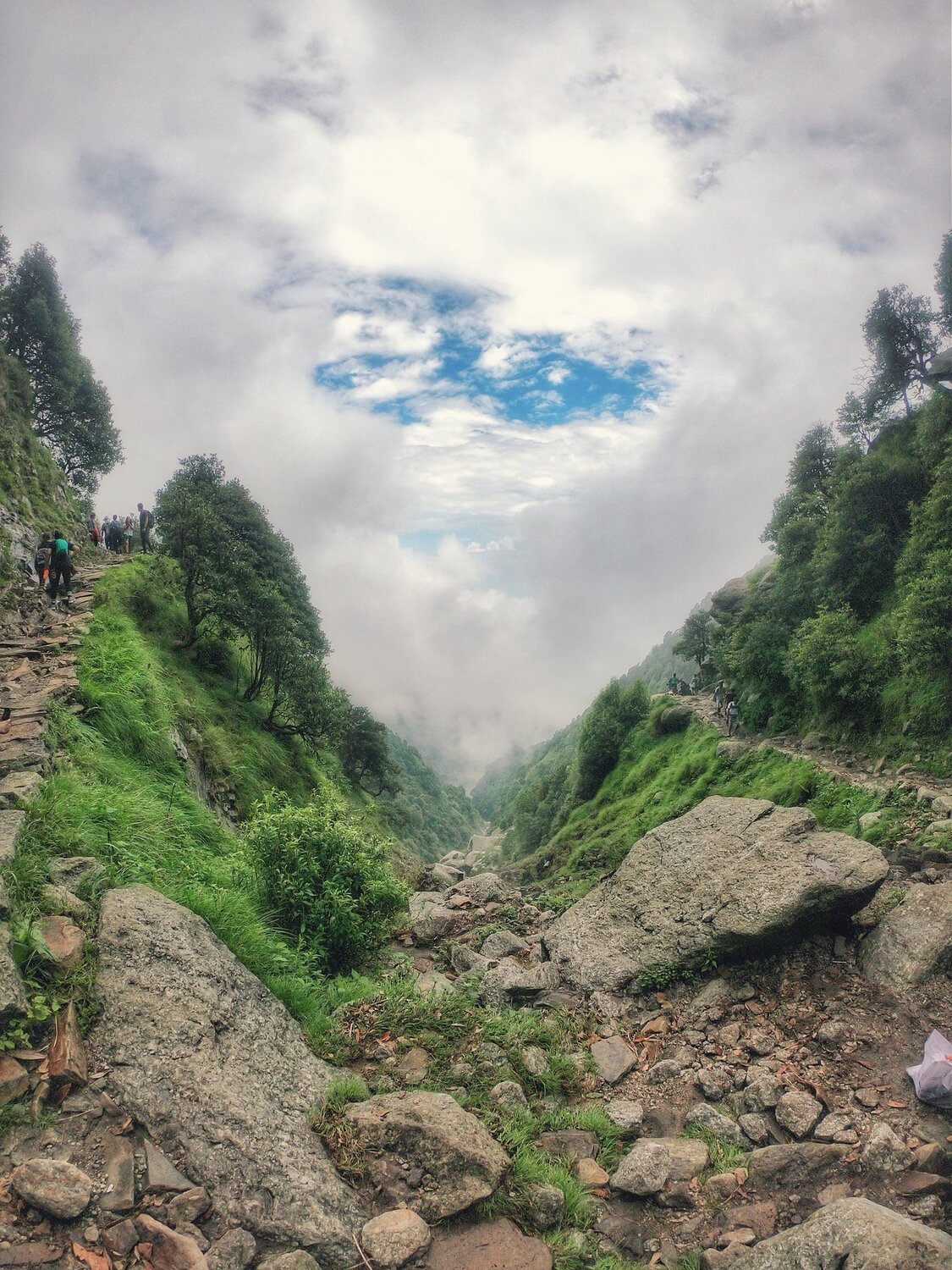 Nature at its best