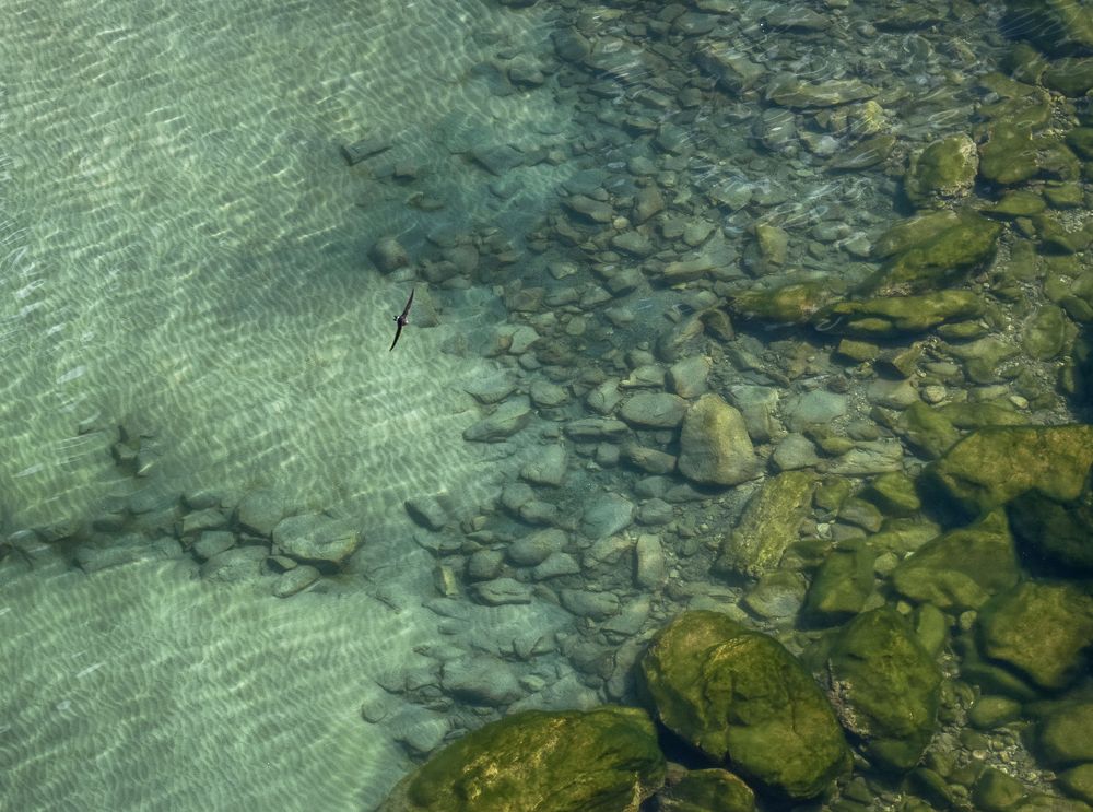 Photograph by Аслан Маргиев