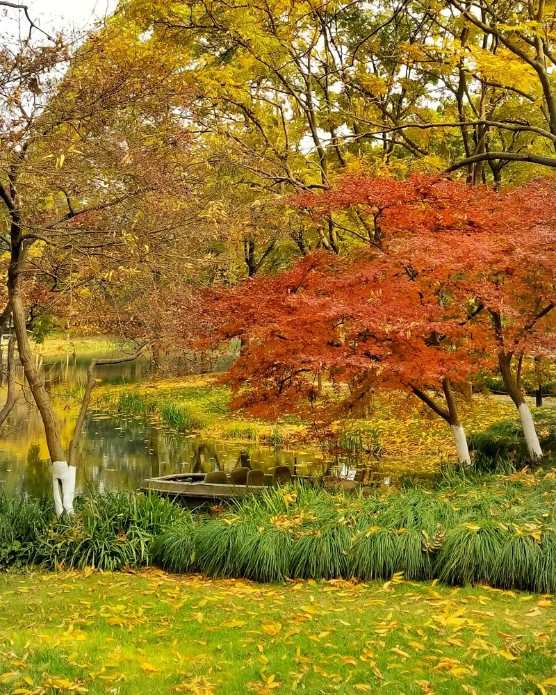 Осень в Ханчжоу