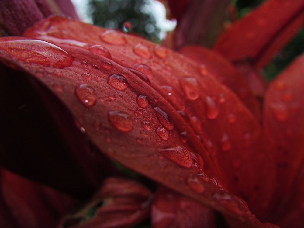 После дождя