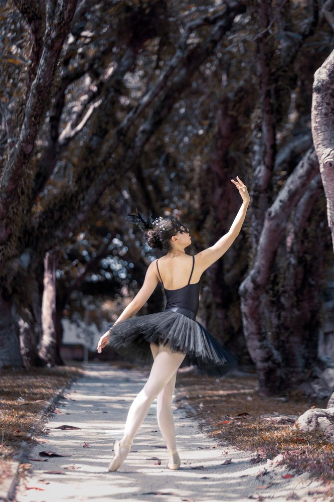Black Swan in Dark Forest