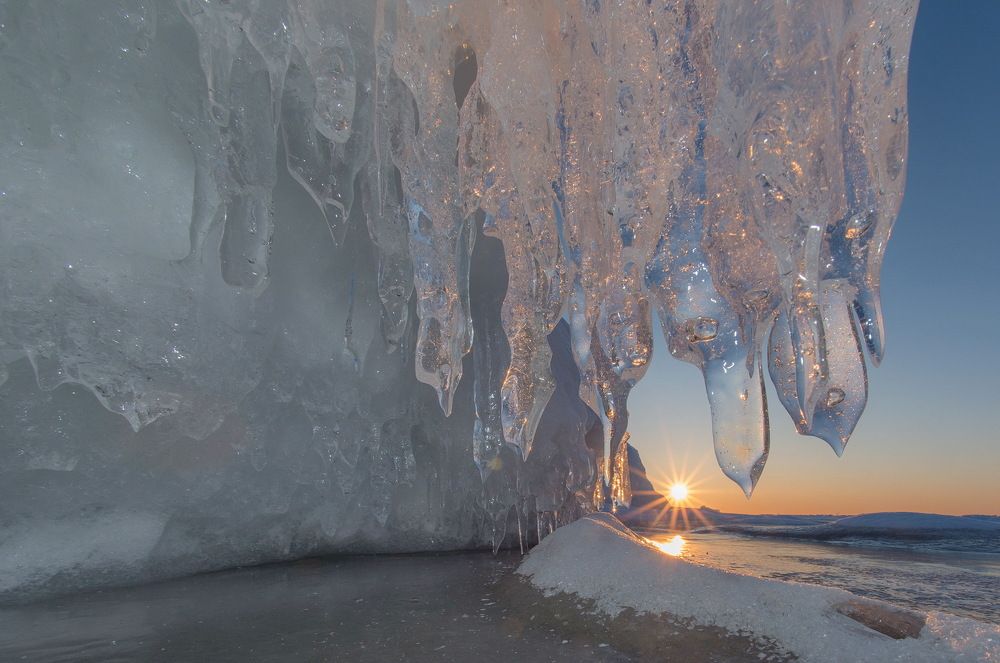 Весенняя дойка солнца.