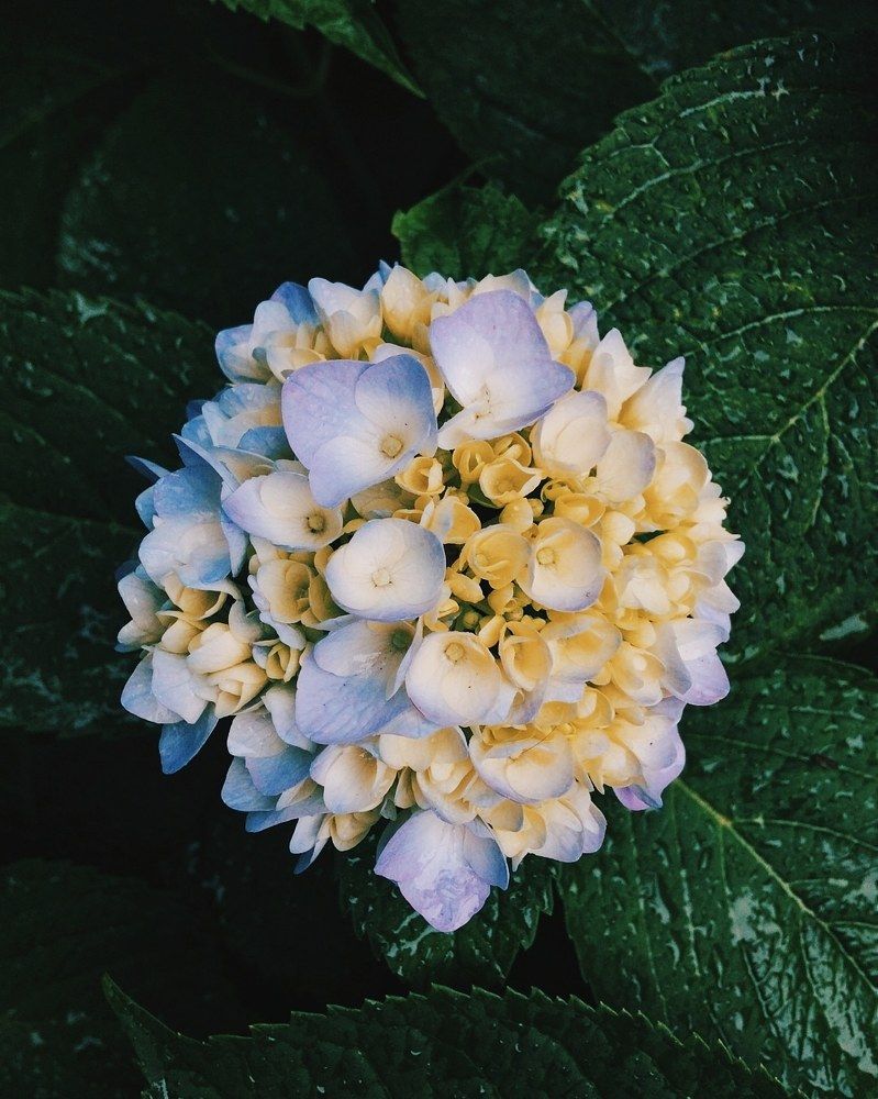 Photograph by Дарья Довгаль