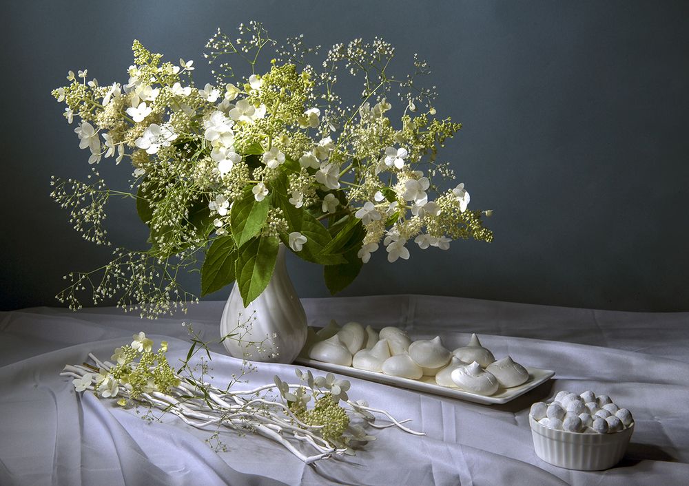 Метельчатая гортензия