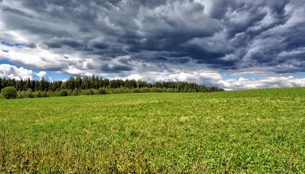 Белорусская земля