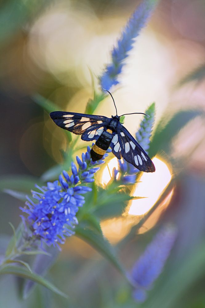 Photograph by Юрий Котов