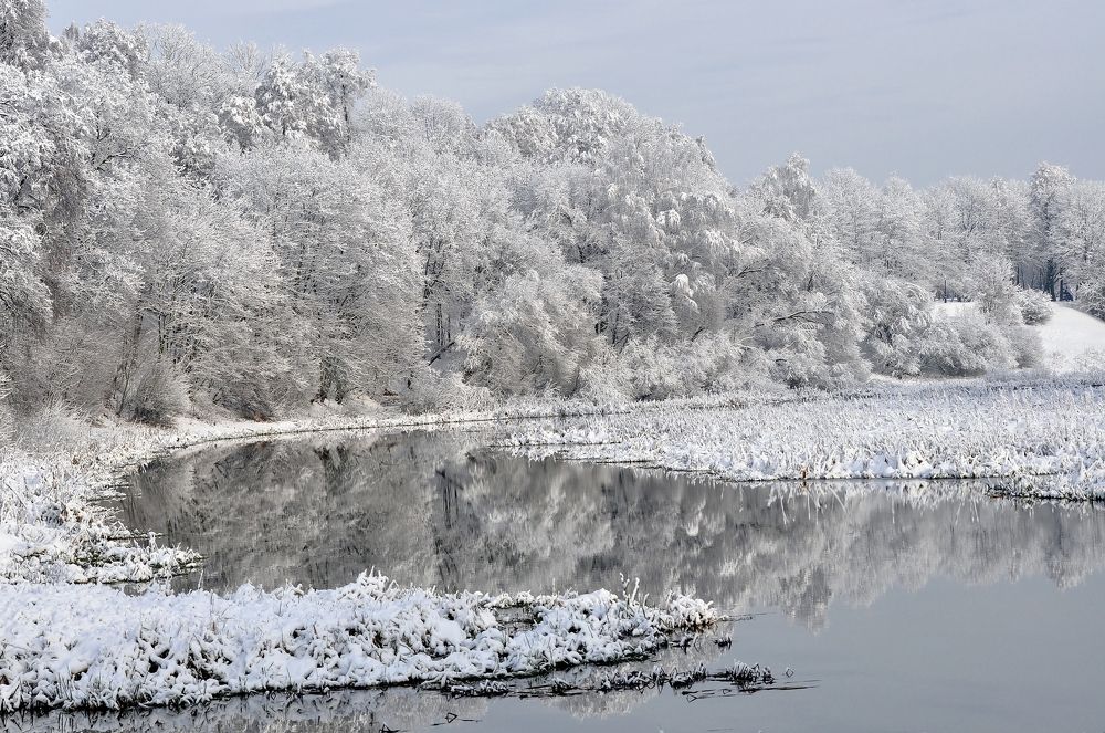Зимняя сказка.
