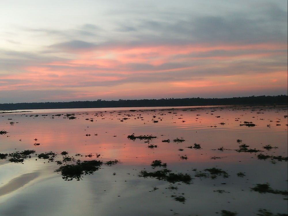 The beauty of Nature