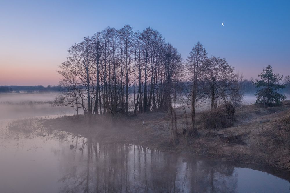 Туманное утро