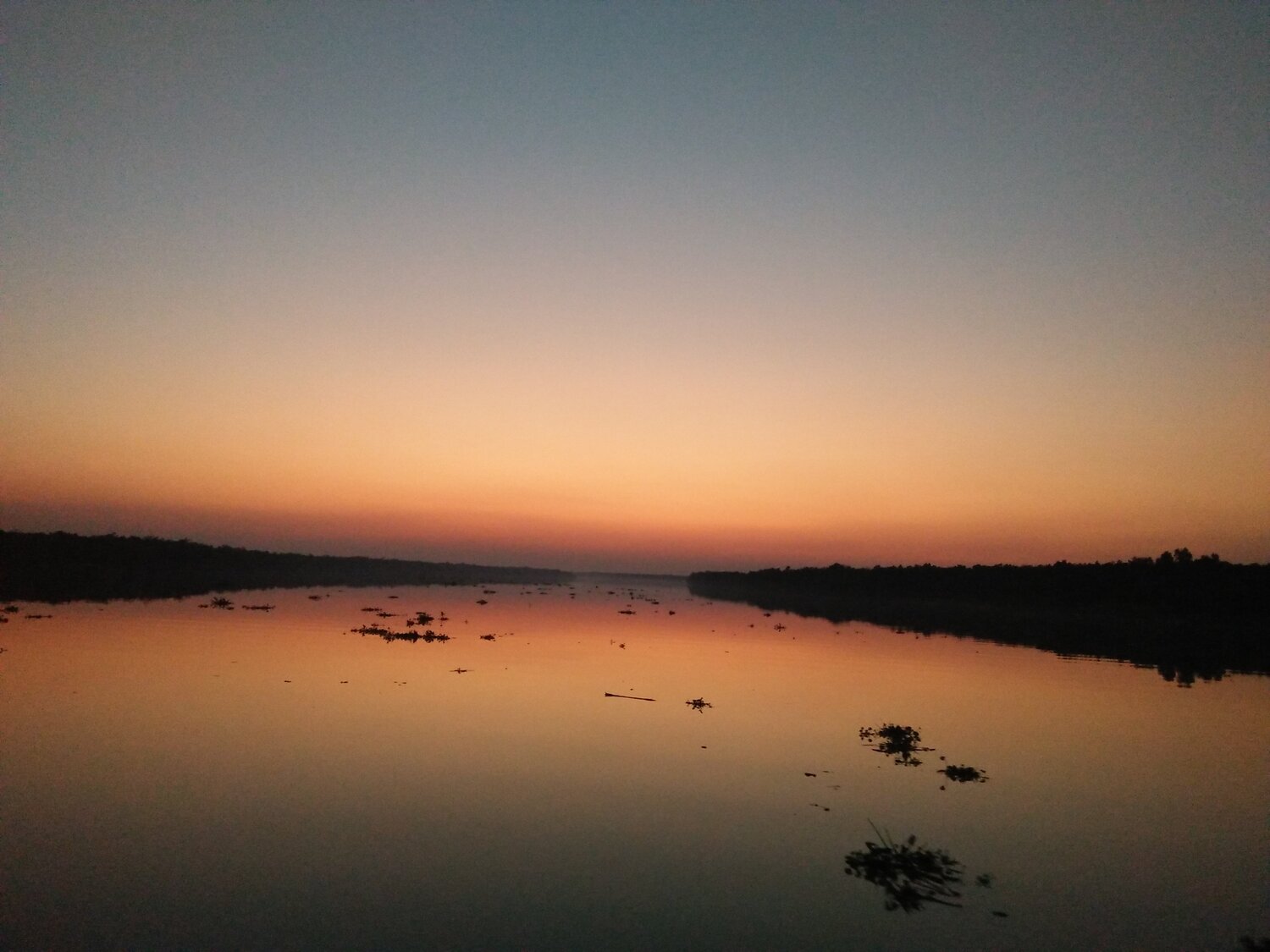The sunset