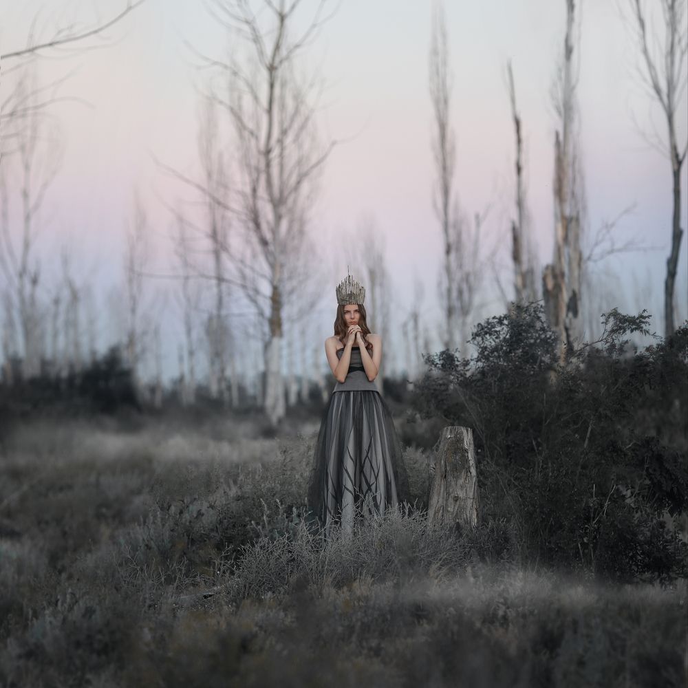 Королева мертвого леса. / Queen of a dead forest.