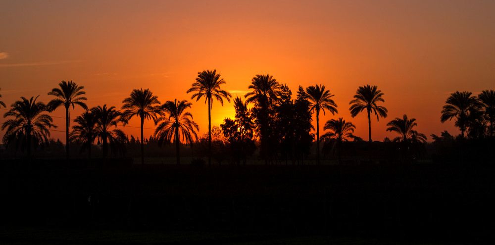 Al Behera - night -  Egypt