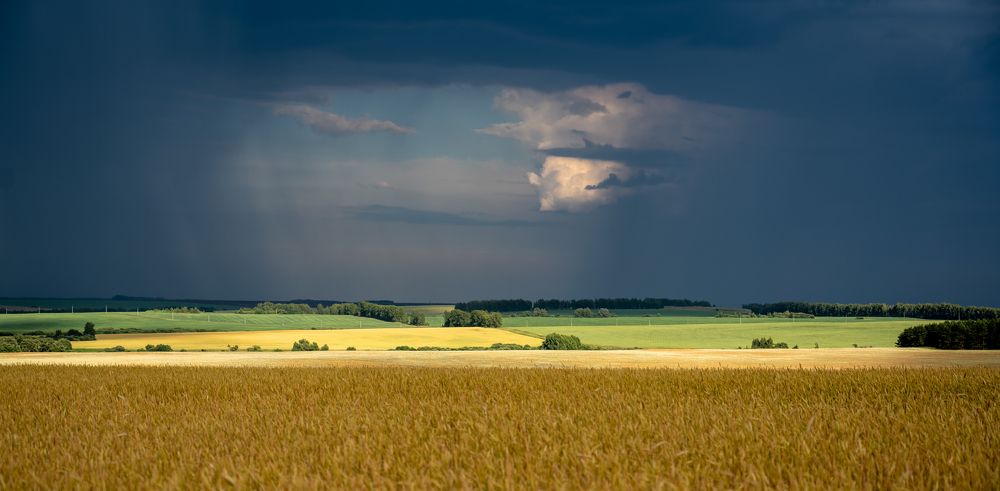 Летние грозы...