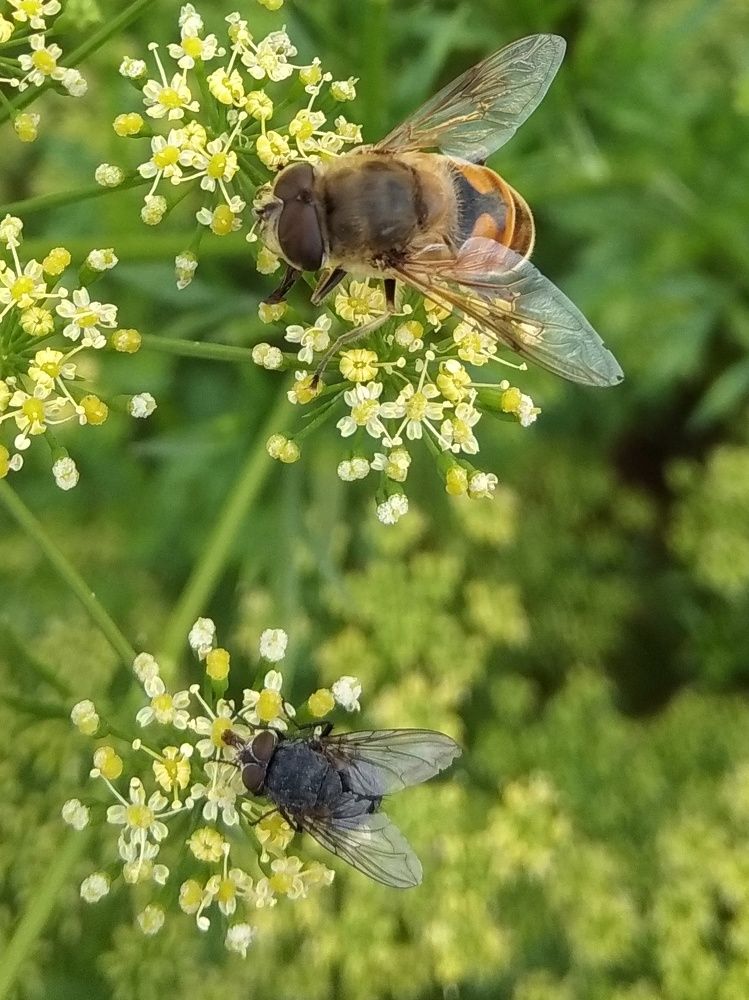 Всем хватит)