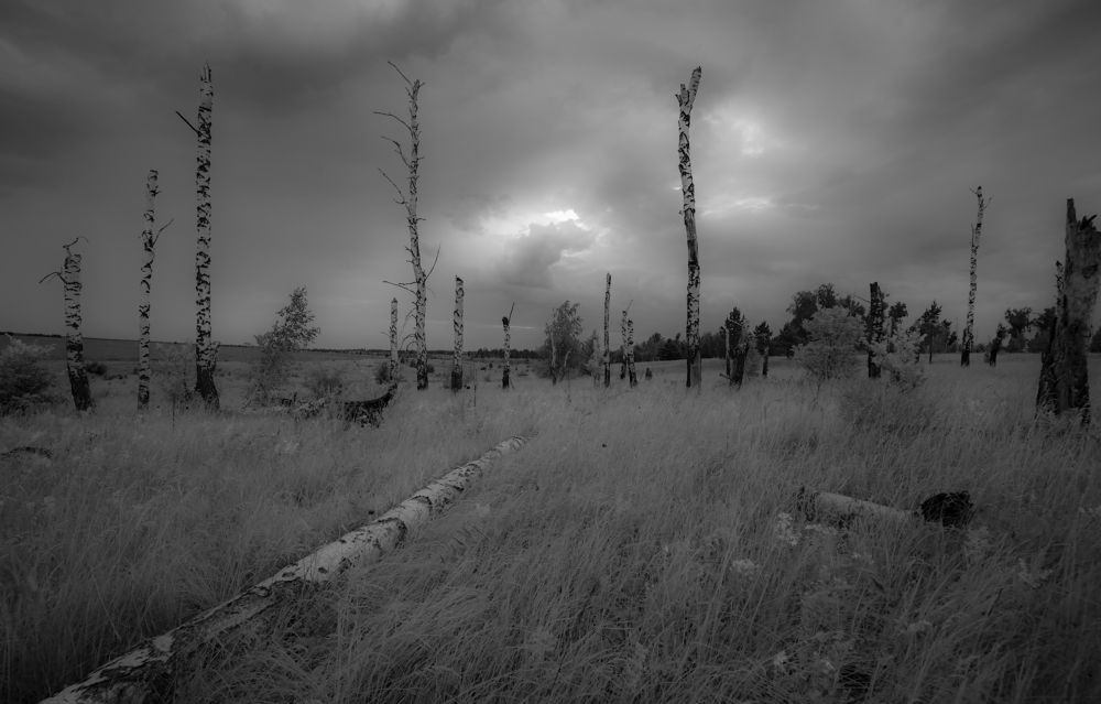 Photograph by Игорь Кляхин