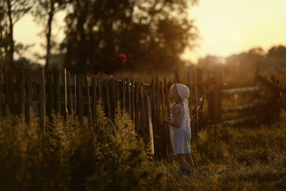 Вечер в деревни