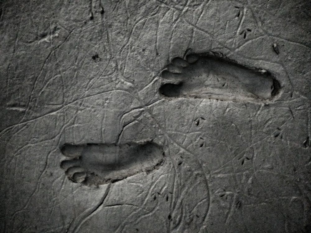 The Foot Print.