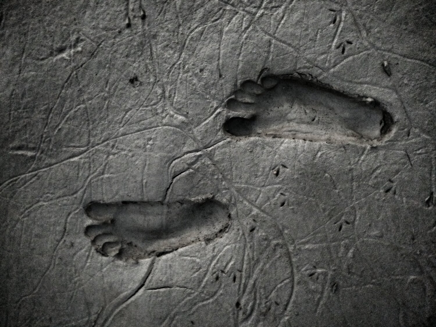 The Foot Print.