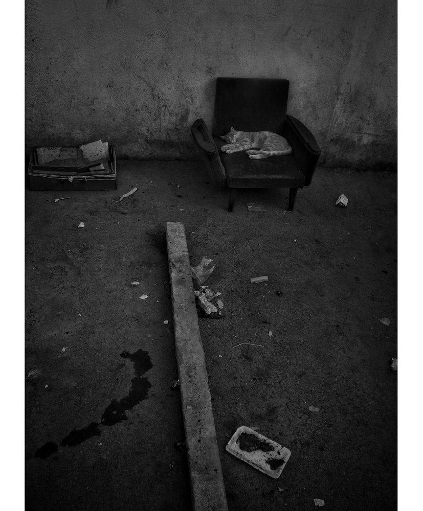 The calm afternoon nap