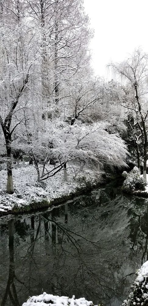 Зимний парк