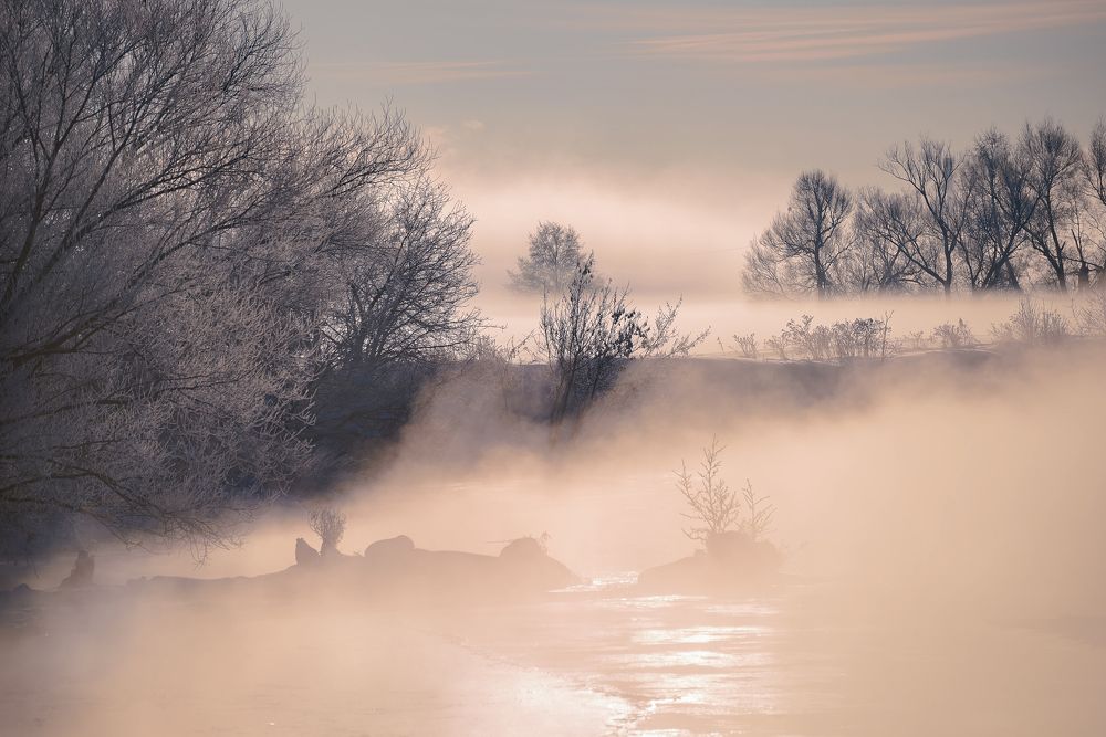 Розовый восход