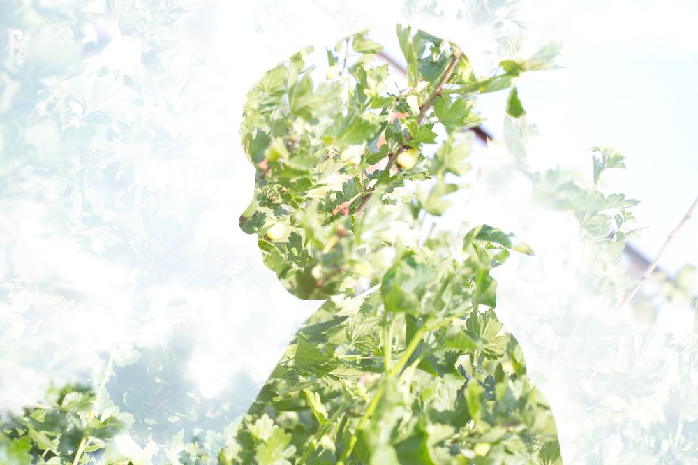 Photograph by Андрей