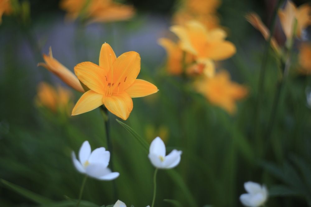 Photograph by Андрей