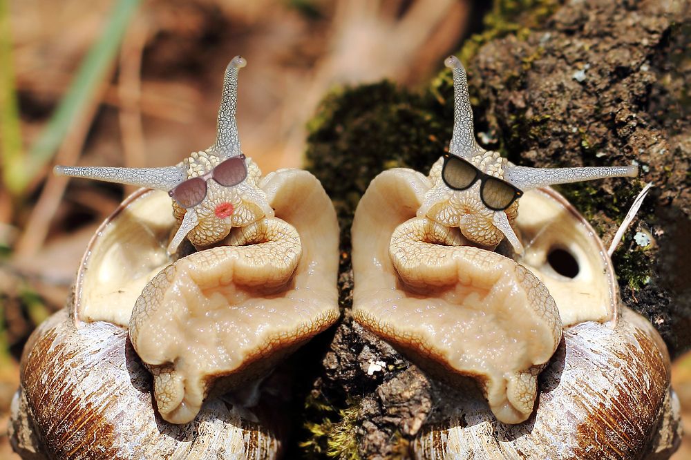 Вот мы и в отпуске...