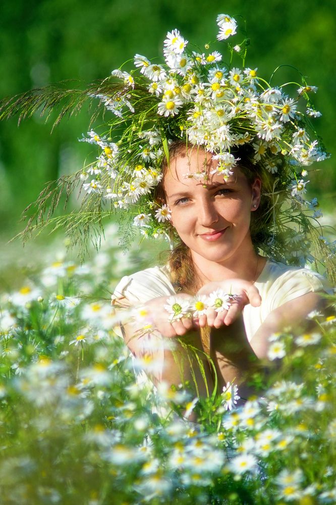 Ромашковое лето