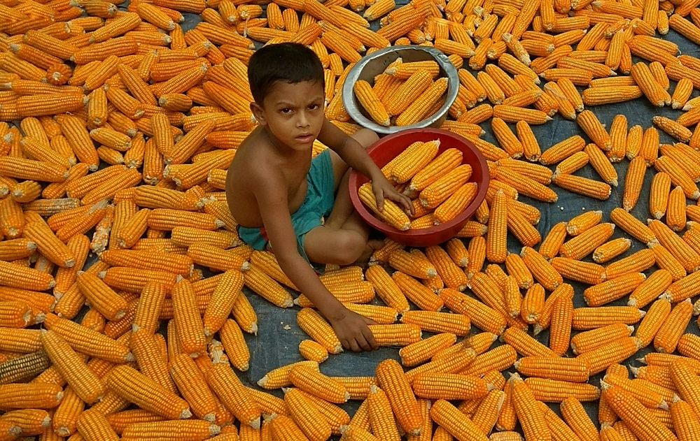 Child whit his work