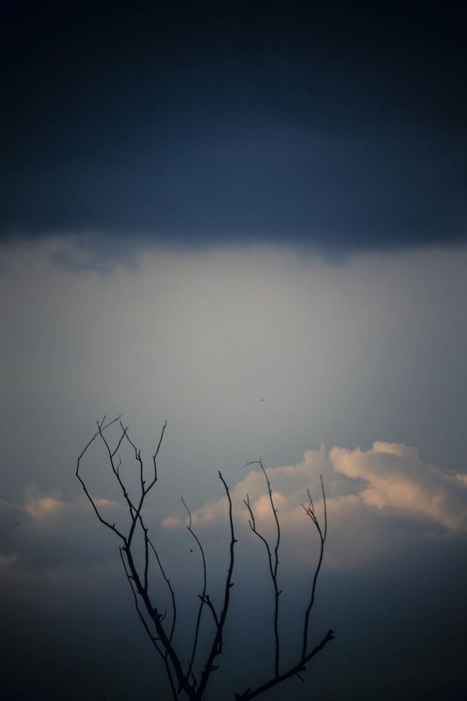 Photograph by Валентина Тарасенко