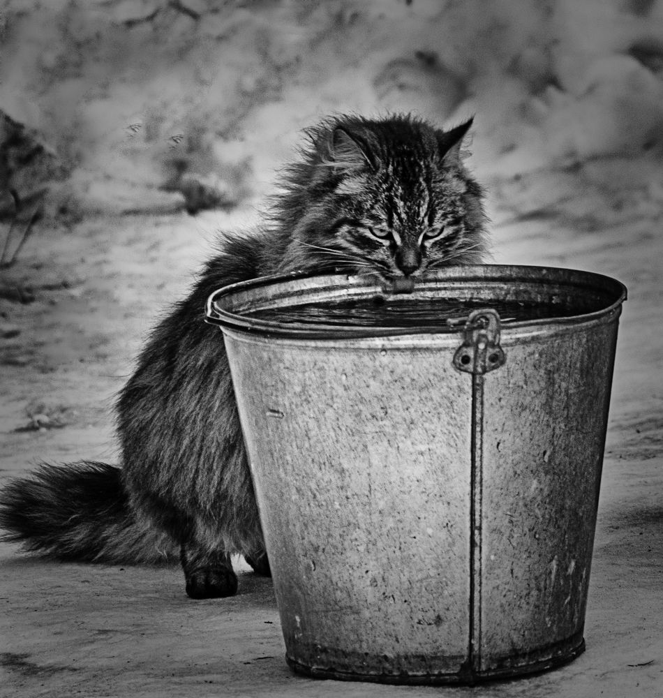 После Нового Года!