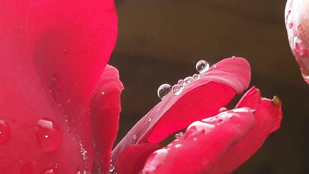 Photo #2410371