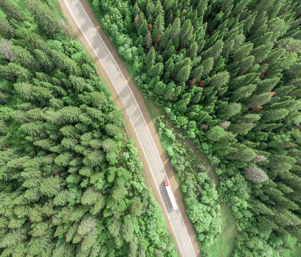 Классическая дорога с грузовиком в лесу