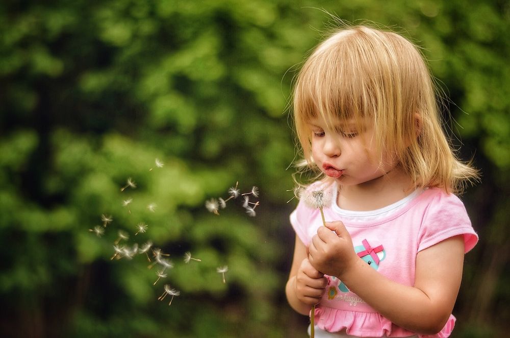 Снежинки лета
